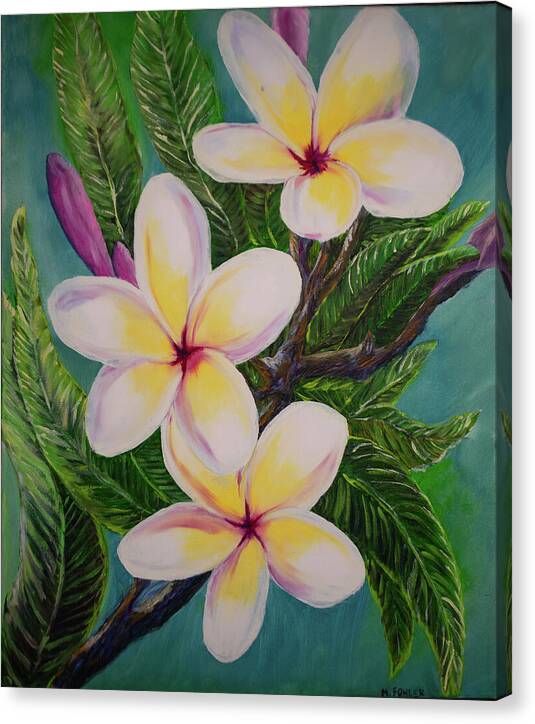 White Plumerias - Canvas Print