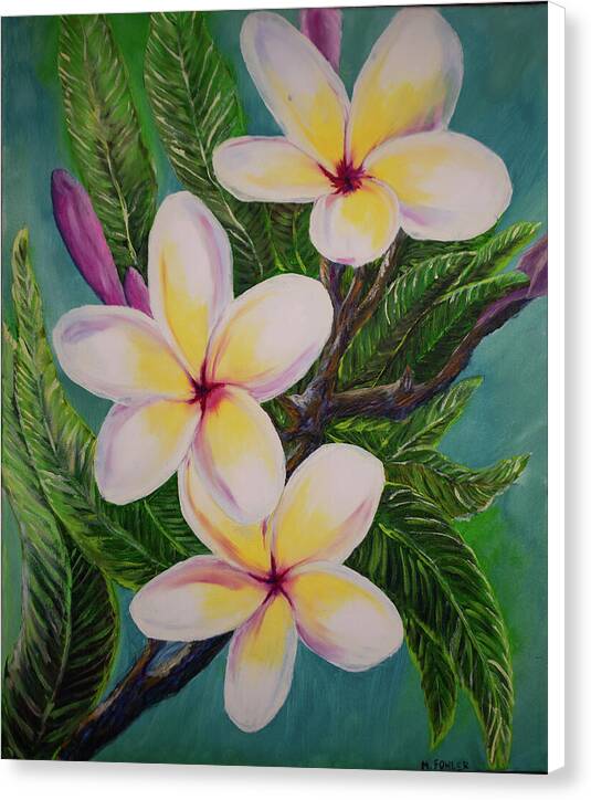 White Plumerias - Canvas Print